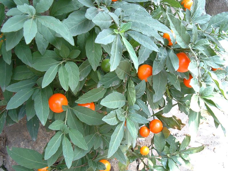 �~�X��H�@�ĎX��H